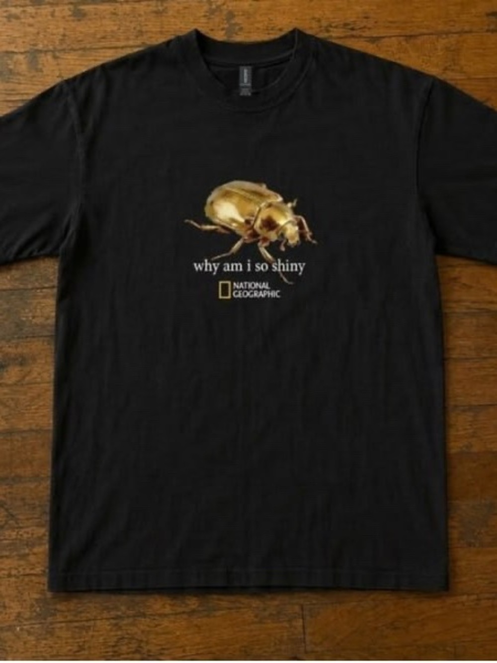 Black National Geographic Black "Why Am I So Shiny" Beetle T‑Shirt